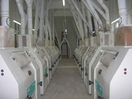 面粉制粉機機械車間(圖1) 面粉制粉機機械車間(圖1)