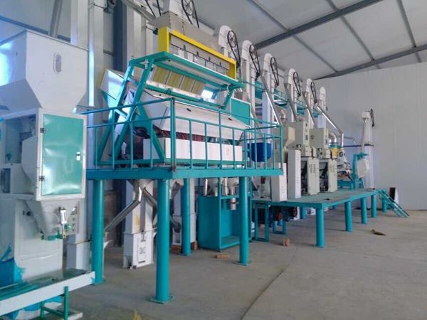 50-60噸小米加工成套設(shè)備(圖1) 50-60噸小米加工成套設(shè)備(圖1)