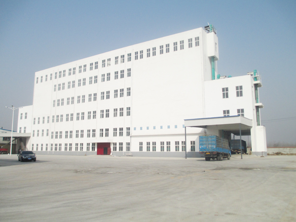 Floor Type Wheat Milling Equipm Floor Type Wheat Milling Equipm