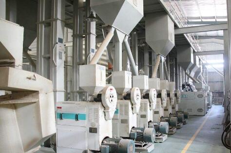 雜糧加工設(shè)備進(jìn)行除雜是提升生產(chǎn)效率(圖1) 雜糧加工設(shè)備進(jìn)行除雜是提升生產(chǎn)效率(圖1)