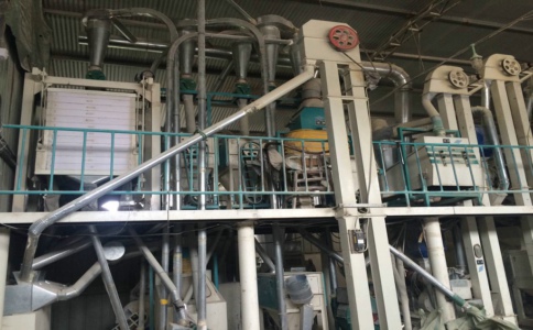 20噸玉米加工設(shè)備(圖1) 20噸玉米加工設(shè)備(圖1)